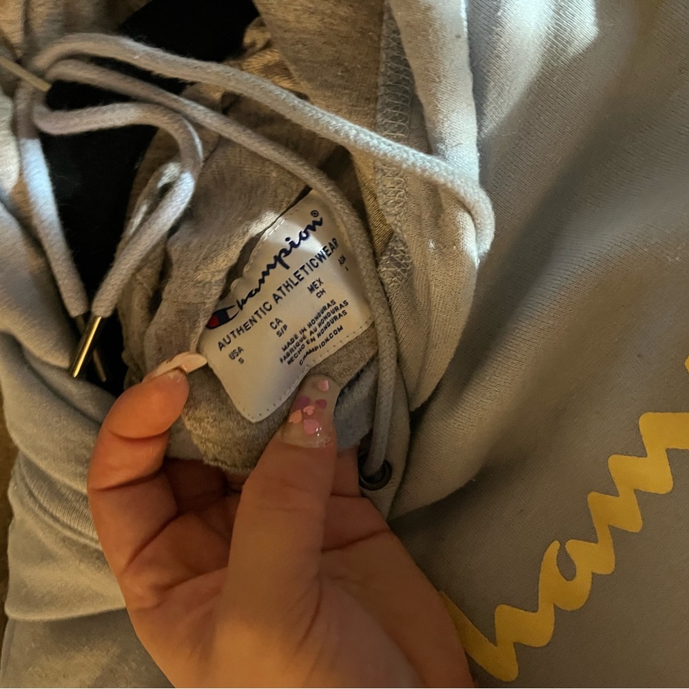 Champion Light Gray Hoodie